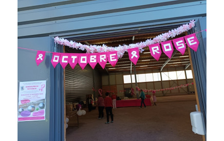 Octobre Rose-Concours de pétanque du Dimanche 12 Octobre 2025